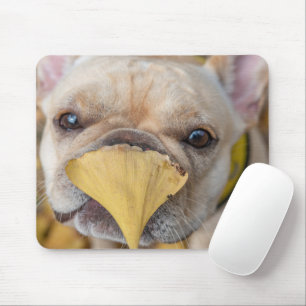 Mousepad Bulldog Francês Adorável