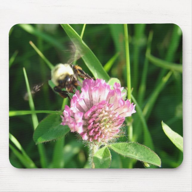 Mousepad Bumble Bee em Red Clover (Frente)
