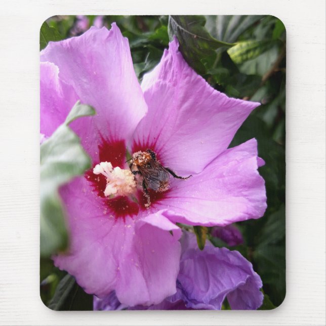 Mousepad Bumblebee na Flor de Hibiscus (Frente)