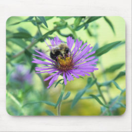 Mousepad Bumblebee na margarida roxa