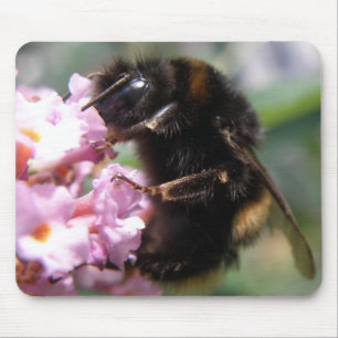Mousepad Bumblebee Ocupado e Flores Rosa