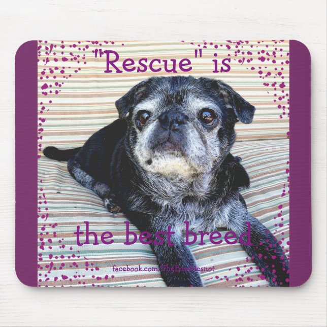 Mousepad Bumblesnot Mousepad: O salvamento é a melhor raça (Frente)