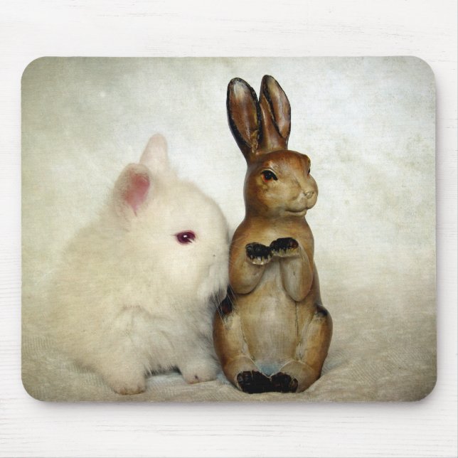 Mousepad Bunnies (Frente)