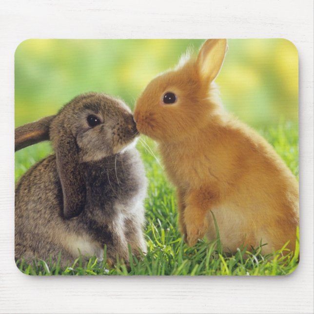 Mousepad Bunny Kiss (Frente)