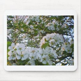 Mousepad Buquê primavera