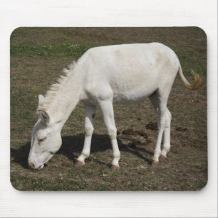 Mousepad Burro Branco Austríaco-Húngaro