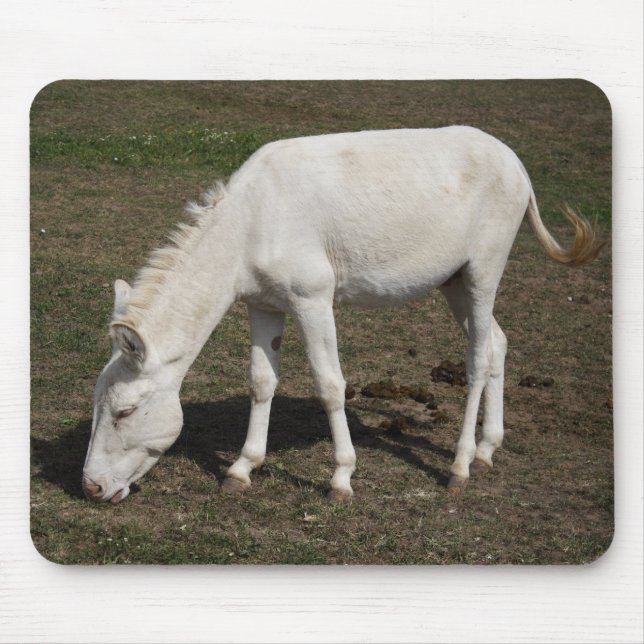 Mousepad Burro Branco Austríaco-Húngaro (Frente)