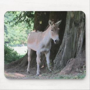 Mousepad Burro Pequeno