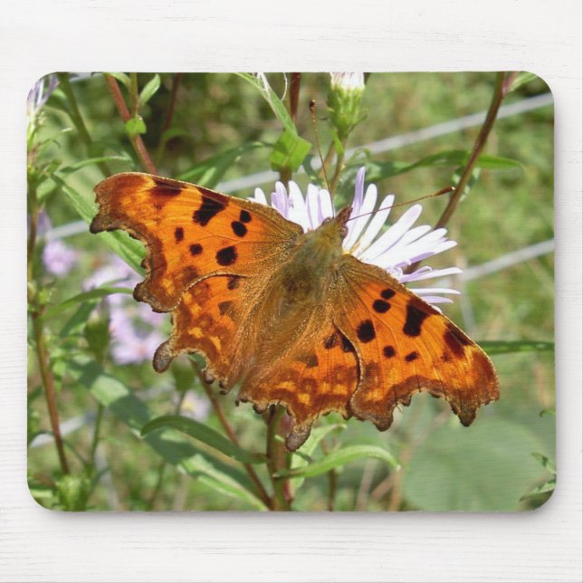 Mousepad Busepad Borboleta: Vírgula (Frente)