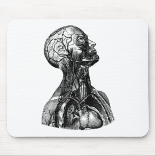 Mousepad Busto da anatomia