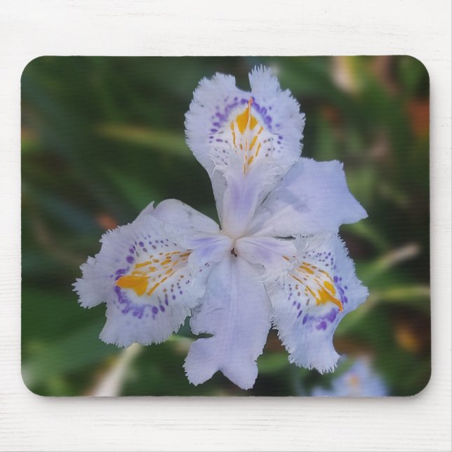 Mousepad Butterfly Flower (Frente)