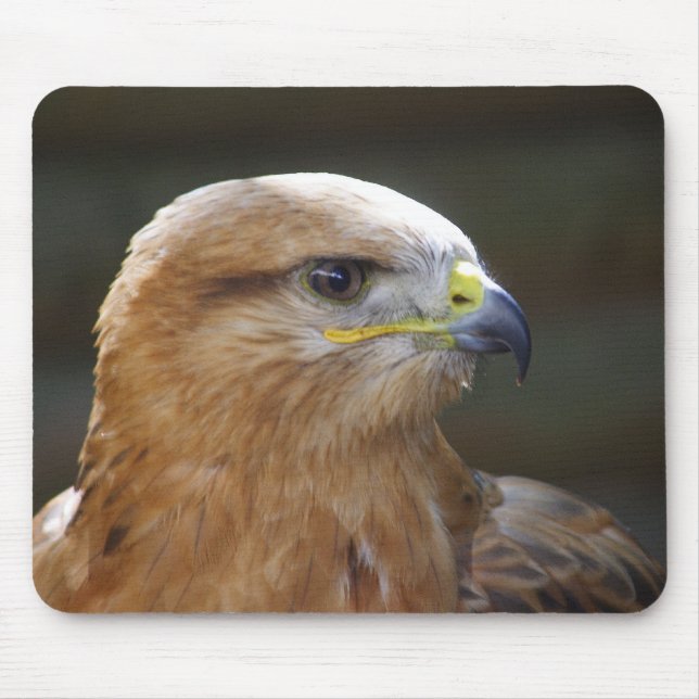 Mousepad Buzzard de pernas longas (Frente)