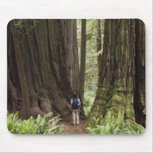 Mousepad CA, Parque Estadual de Redwoods Jedediah Smith,