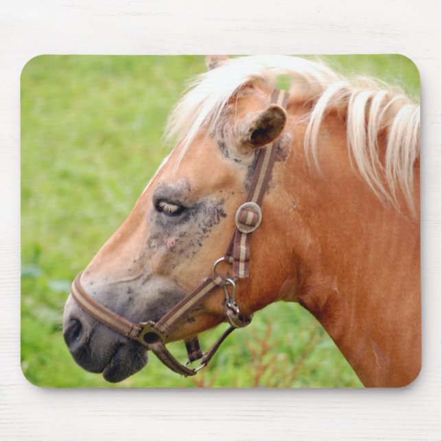 Mousepad Cabeça de cavalo 003 (Frente)