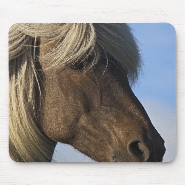 Mousepad Cabeça de cavalo islandês, Islândia (Frente)