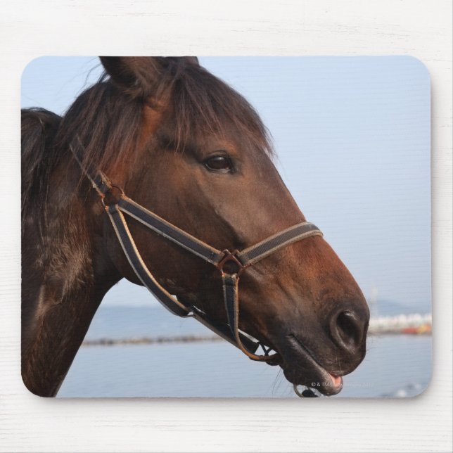Mousepad Cabeça de cavalo marrom (Frente)