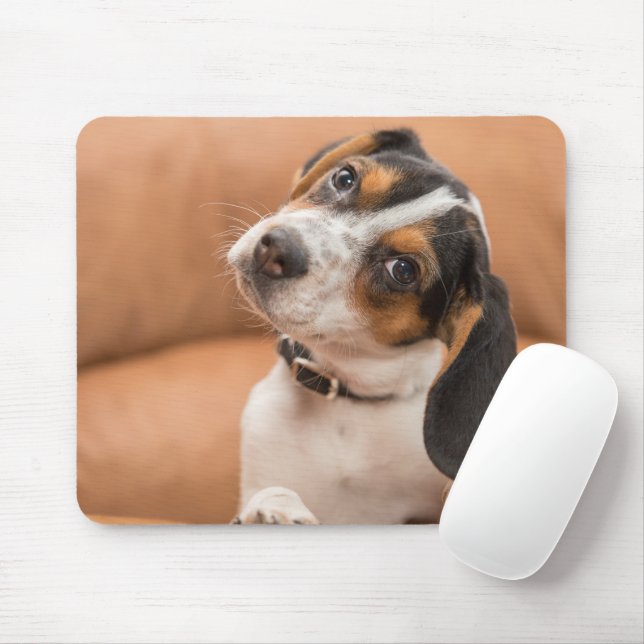 Mousepad Cabeça De Feixe-Frio Cachorro Cachorro Borracha (Com mouse)