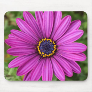 Mousepad Cabeça de Flor Puro Perfeita