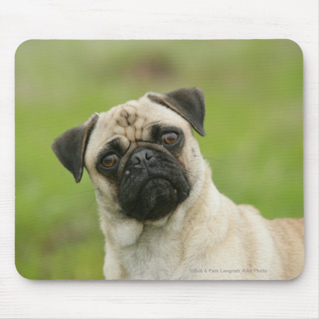 Mousepad Cabeça do Pug armada olhando a câmera (Frente)