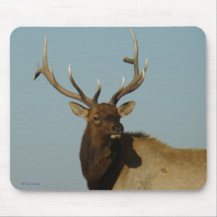 Mousepad Cabeça e Ombros de E49 Alce Macho