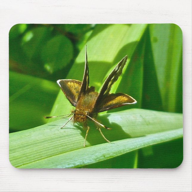 Mousepad Cabeçote Butterfly Do Skipper (Frente)