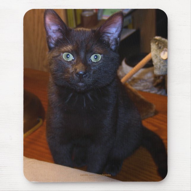 Mousepad Cabeçote de Gato Preto (Frente)