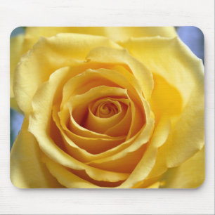 Mousepad Cabeçote de Rosa Sunshine