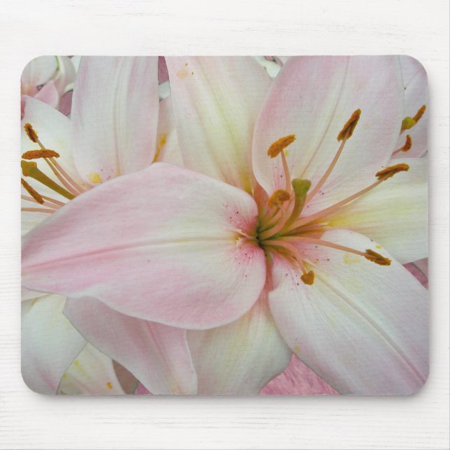 Mousepad Cabeçote Lírio Híbrido (Frente)