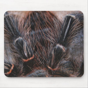 Mousepad cabelo da aranha