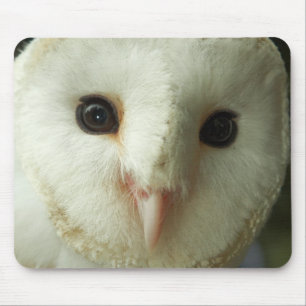 Mousepad Cabine de Barão