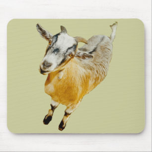 Mousepad Cabra africana do pigmeu