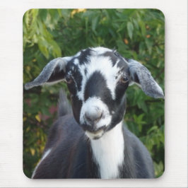 Mousepad Cabra de Leite Mini Nubiana Preta e Branca