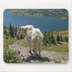 Mousepad Cabra de montanha no Parque Nacional Glacier