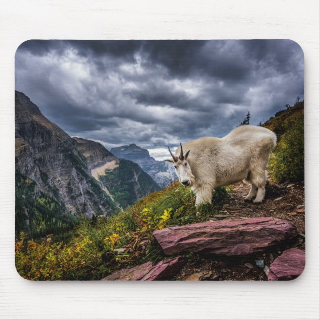 Mousepad Cabra de montanha rochosa (Frente)