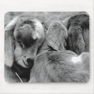 Mousepad Cabras do bebê