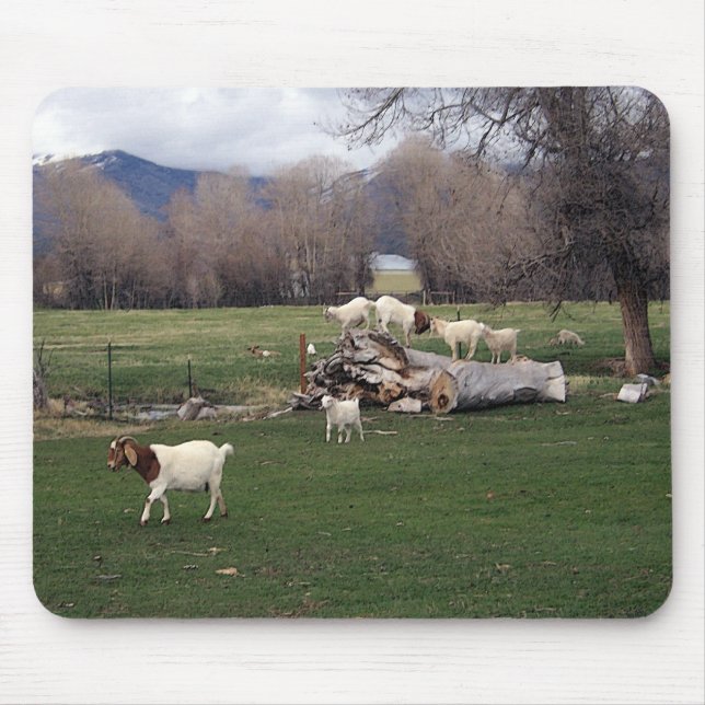 Mousepad Cabras em um registro (Frente)