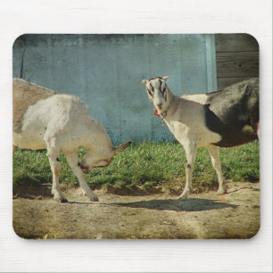 Mousepad Cabras leiteiras