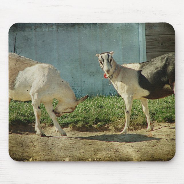 Mousepad Cabras leiteiras (Frente)