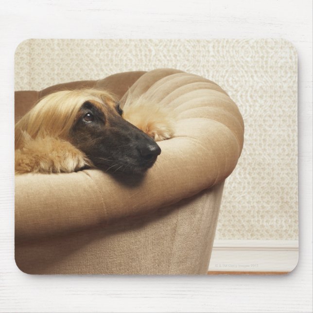Mousepad Caça afegã no sofá (Frente)
