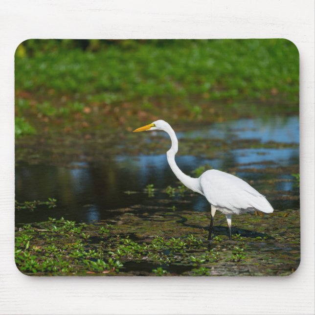 Mousepad Caça ao Egret (Frente)