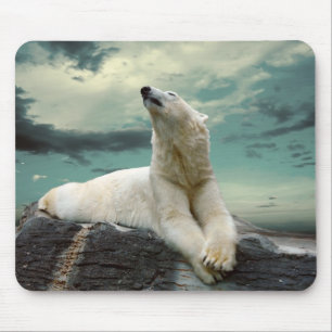 Mousepad Caçador branco do urso polar na rocha