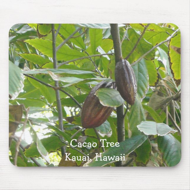 Mousepad Cacao Tree, Kauai, Havaí (Frente)