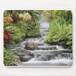 Mousepad Cachoeira