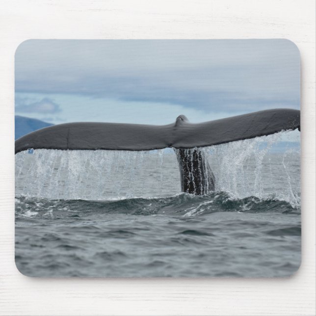 Mousepad Cachoeira (Frente)