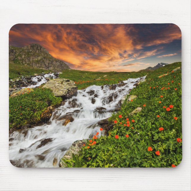 Mousepad Cachoeira nas montanhas com flores (Frente)