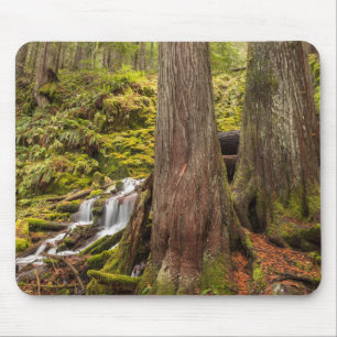 Mousepad Cachoeira White Branch, Oregon Cascades, Oregon