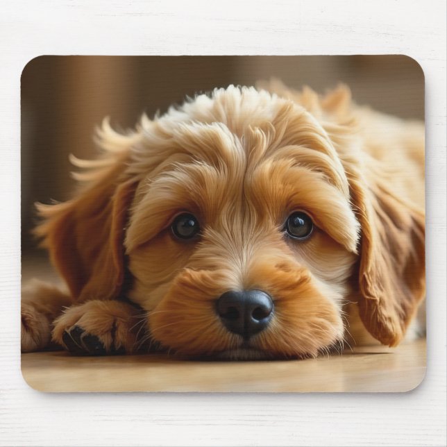 Mousepad Cachorrinho Cockapoo Fofo – Rato de Computador de  (Frente)