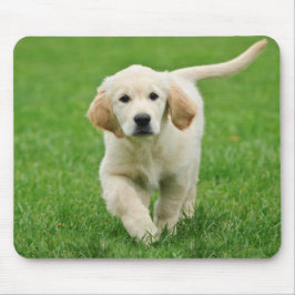 Mousepad cachorrinho de recuperação de ouro