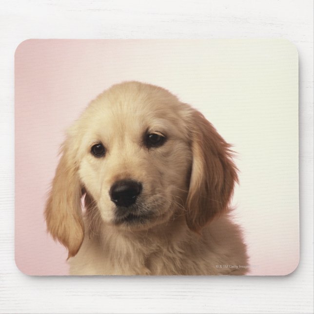 Mousepad cachorrinho de recuperação de ouro (Frente)