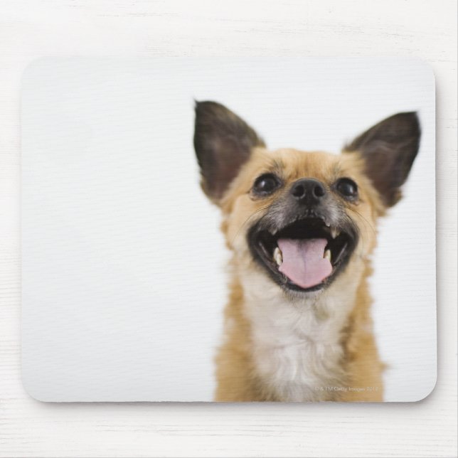 Mousepad Cachorro (Frente)